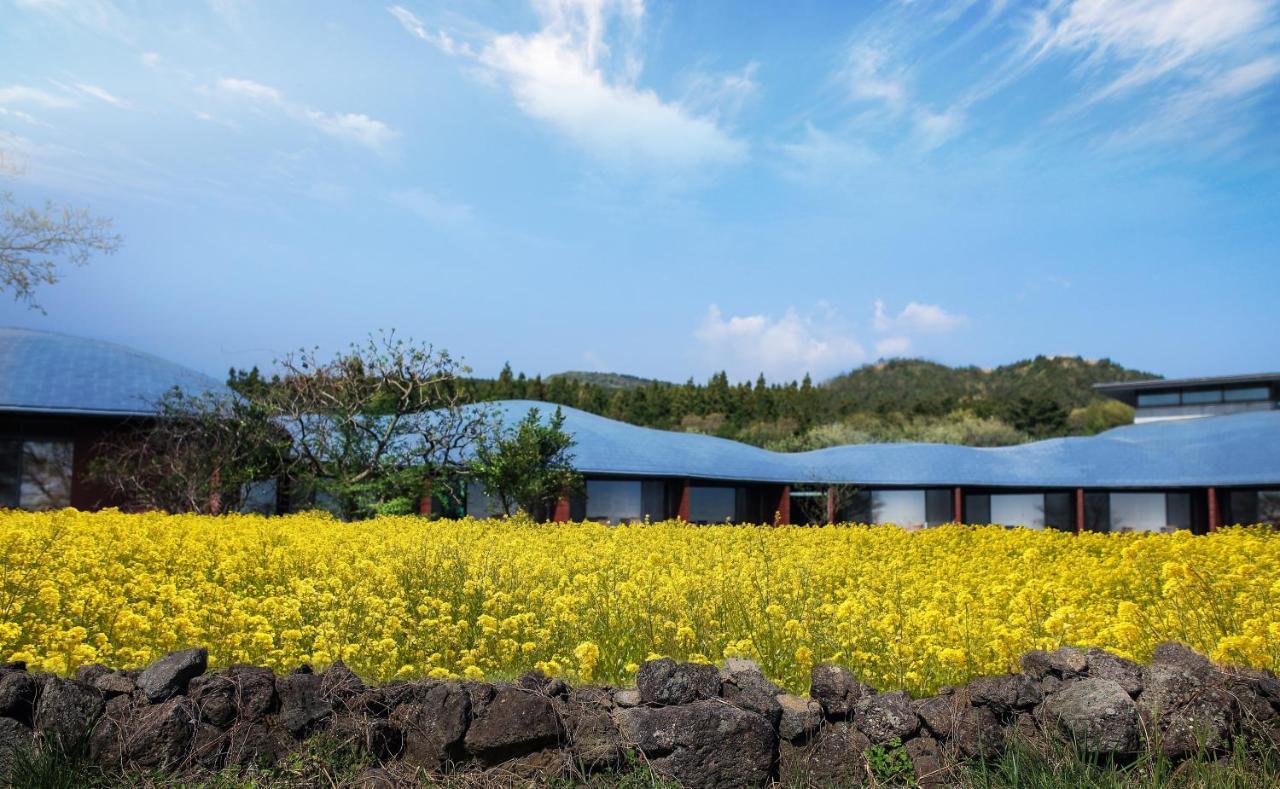 Podo Hotel Seogwipo Bagian luar foto